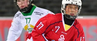 Uppsala BoIS kan få elitserieplats