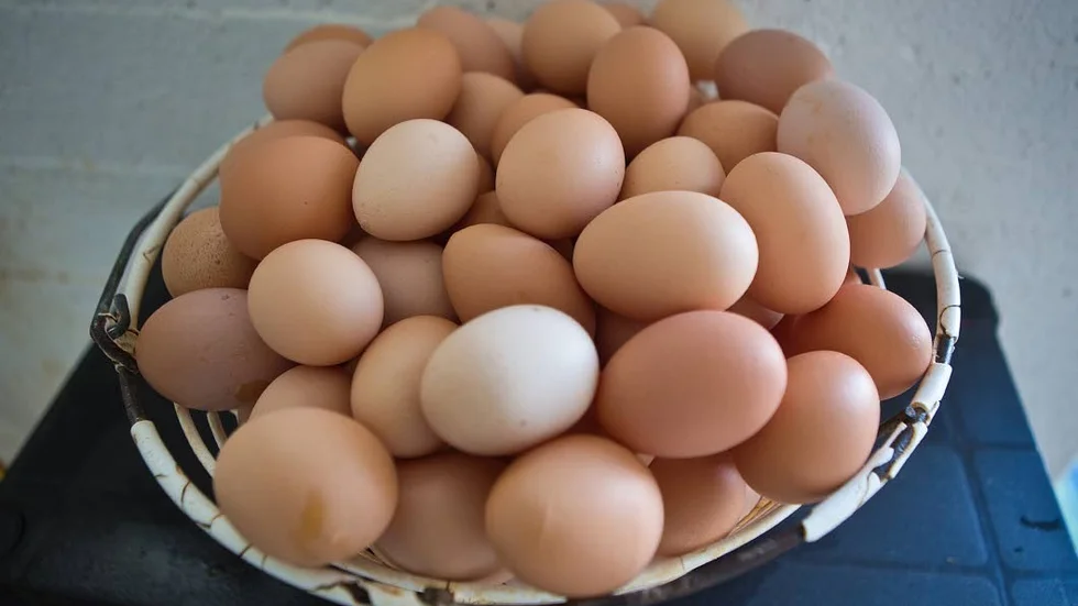Påskmat. Ägg säljs i kopiösa mängder under påskhelgen.