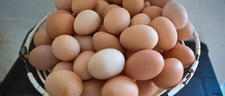Påsken kickar igång sommaren