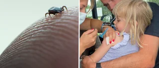 Kraftig ökning av TBE-fall – östgötar uppmanas vaccinera sig före sommaren