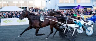 Inbjudningarna lär hagla över Makethemark