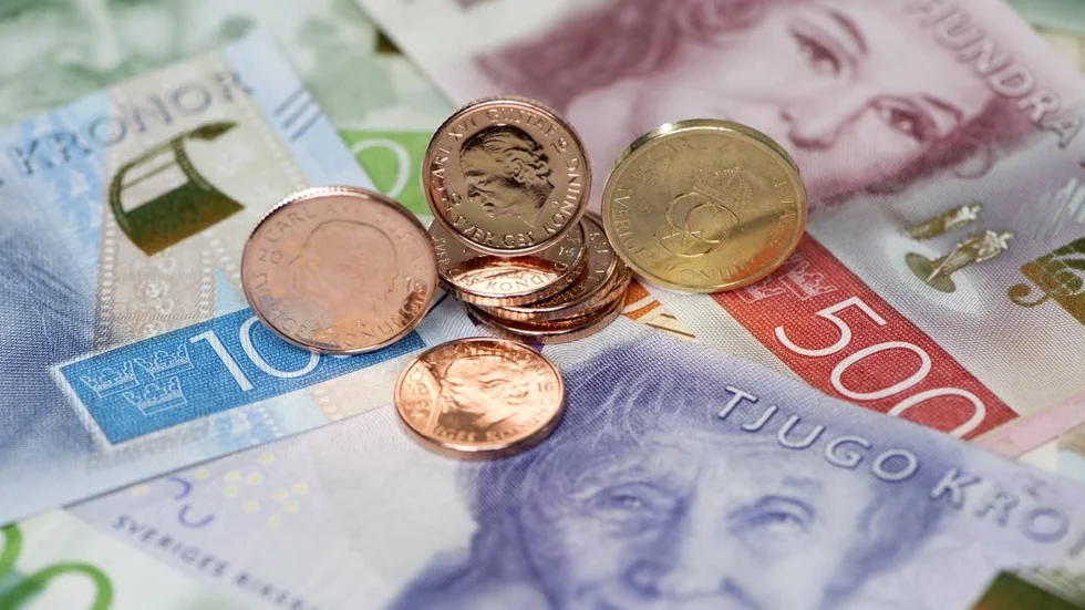 Pensionären uppgav inte rätt inkomstuppgift. Nu krävs Luleåbon på drygt 97 000 kronor i återbetalning.