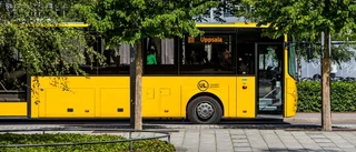 "UL-chaufför skrek rasistiska glåpord"