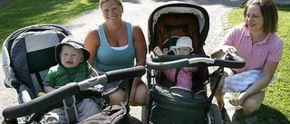 Myggorna är på hugget i Uppsala