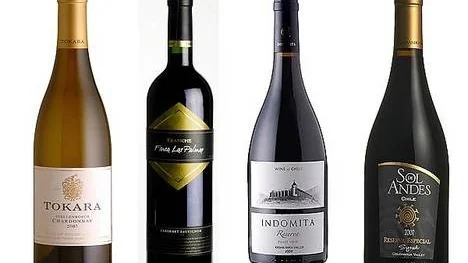 Tokara Chardonnay från Sydafrika är ett fatlagrat vin som passar utmärkt till grillad fisk. Finca Las Palmas Cabernet Sauvignon från Argentina är passande till mörkt kött från grillen.Inslag av mogna hallon och jordgubbar hittar vi i Indomita Reserva Pinot Noir från Chile. Sol de Andes Reserva Special Syrah är ett lite kryddigt, röktonat syrahvin.