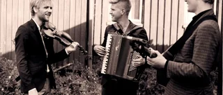 En fantastisk folkmusiktrio