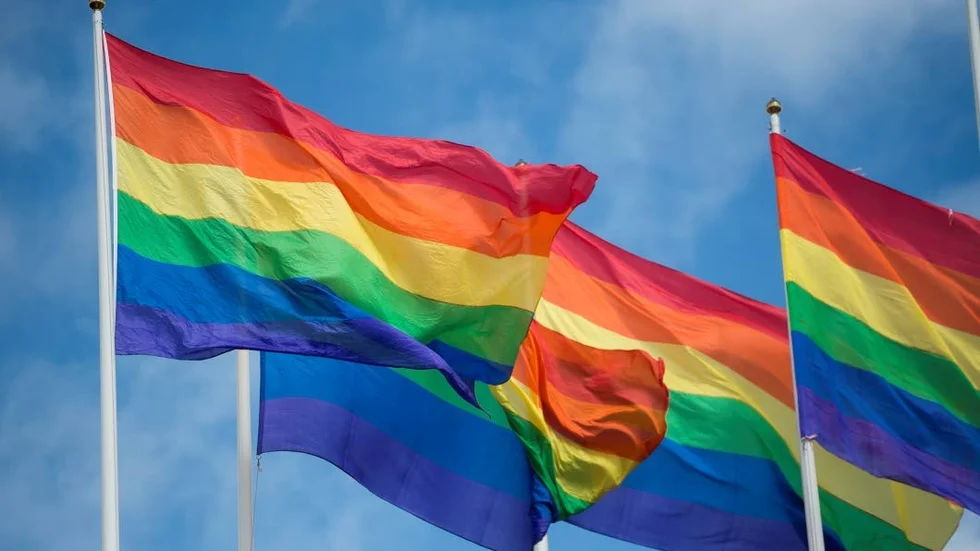 Pride-flaggan. RFSL:s regnbågsflagga symboliserar stolthet och mångfald hos homosexuella, bisexuella och transpersoner.