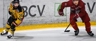Luleå Hockeys nya center: "Det var tufft"