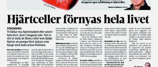 Svårt att hitta finare vårdplats än Omtanken