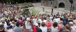 Redan högtryck i Vimmerbyturismen: "Ovanligt mycket utländska turister i år"