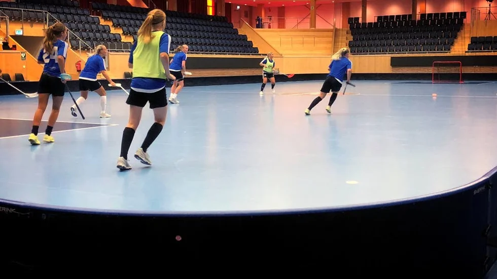 Under måndagen inledde Sirius sin första lagträning för säsongen.
