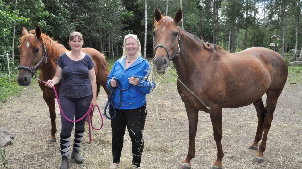 Anne Källgren och Lena Hagman är vana att hantera såväl människors som hästars oro. Nu ordnar de ett läger för hästägare som blivit rädda för att rida.
