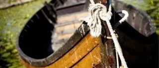 Vikingaarvet är både myt och fakta