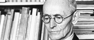 Ledsagaren Hermann Hesse