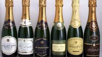 I Sverige har det aldrig sålts så mycket bubbelviner som nu - och allra mest köper vi till nyår.