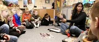 Länsmuseum i uppsökande verksamhet