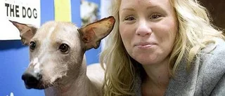 Sådan herre sådan hund