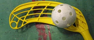 Heby kan få sportotek