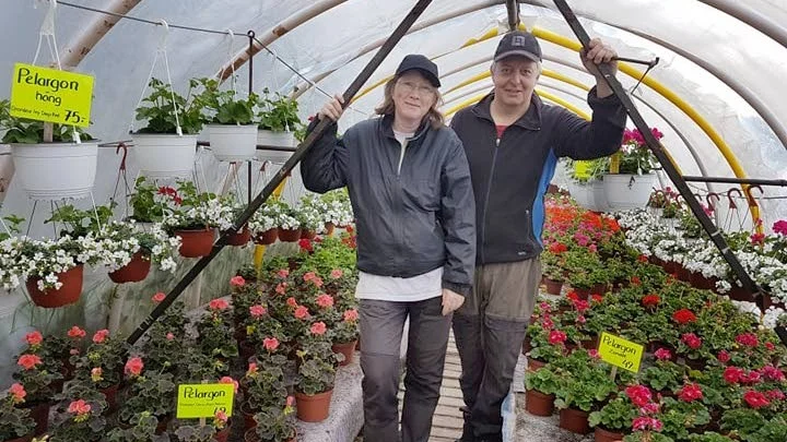 Helena och Staffan Hansson driver Hanssons trädgård i Rutvik. Nu har de utsetts till Veckans handlare.