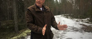 Höga kraftledningar väcker oro hos markägare: "Upplever att vi inte lyssnas på"