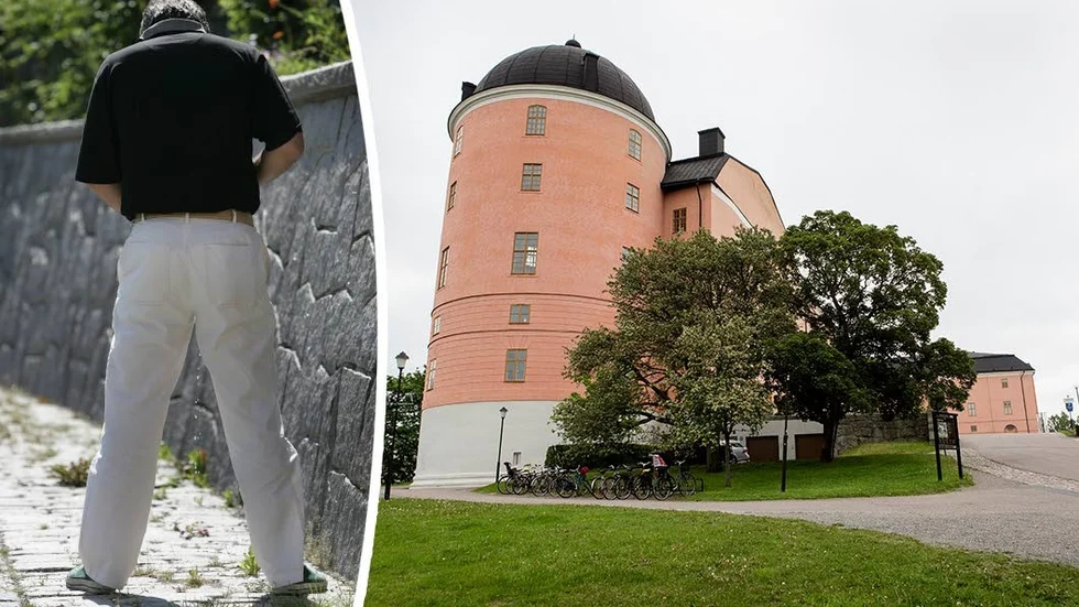 "Behöver man kissa så kissar man, även runt Slottet" säger Mia Ulin om bristen på toaletter.
