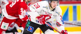 LIVE: Följ Timrå–Vita Hästen här