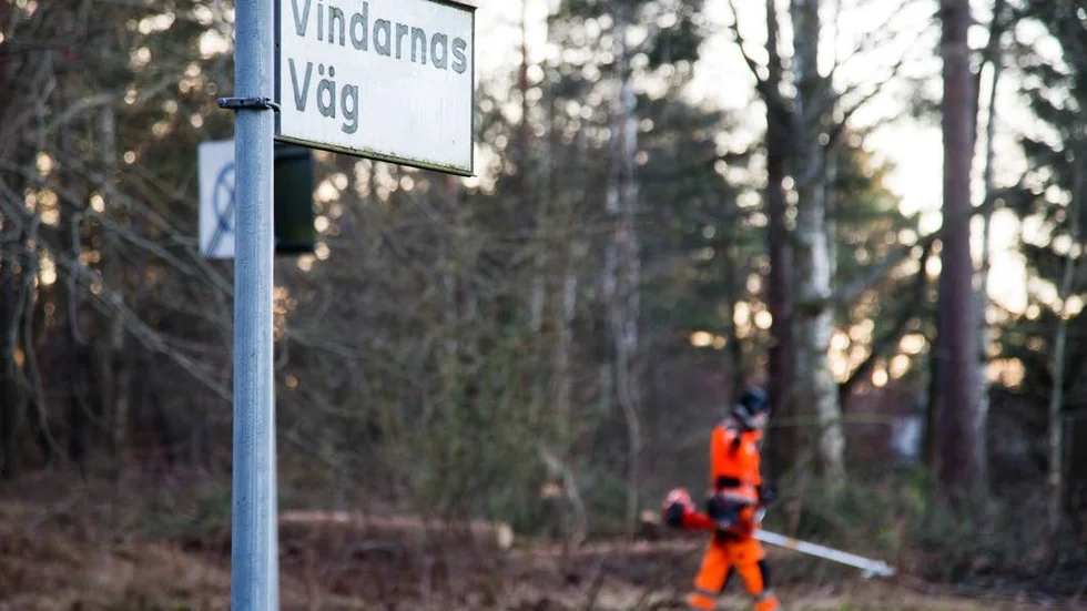 Stormar har drabbat Tallbodaskogarna flera gånger de senaste åren. I våras föll träd över elljusspåret.