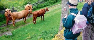 Åter till Stubbhult