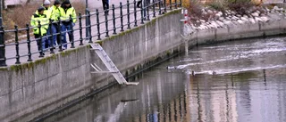Vad orsakade fiskdöden i Strömmen?
