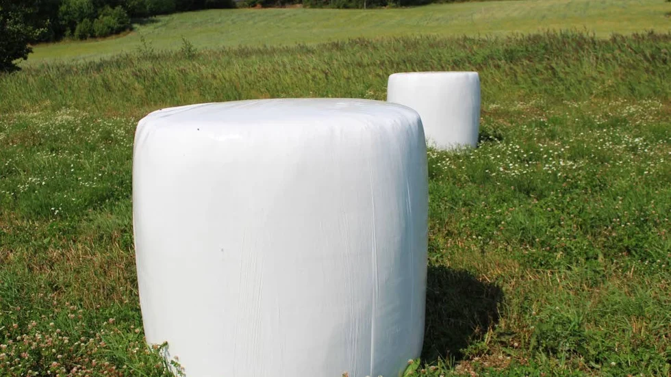 Vallen skördas och blir till ensilage. Ett grovfoder som konserveras genom att det plastas in och får jäsa utan tillgång till syre.