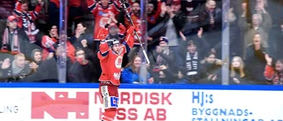 Hockeyallsvenskan satsar mot miljonen
