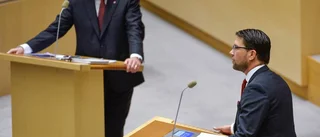 (S) problem är högerpopulisterna, inte feministerna