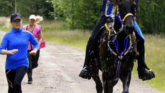 Kjell Westerback och TS Coyote mot mål och SM-brons.
