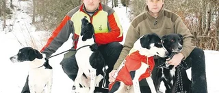 Vältränad hund viktigt vid vildsvinsjakt
