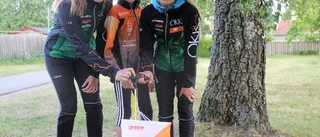 Algirdas bäst igen bland villorna