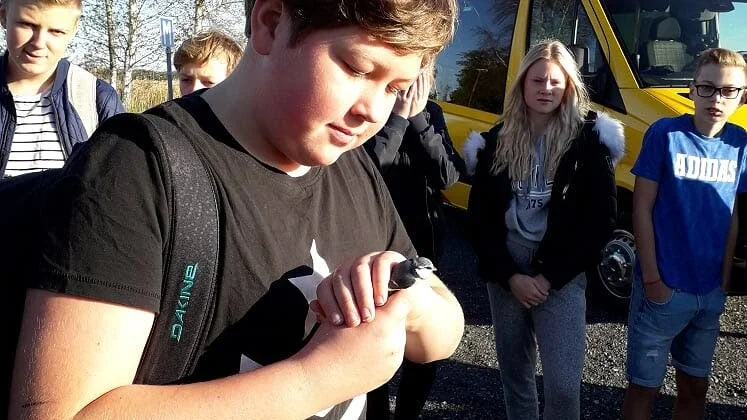 Konrad Hjalmarsson håller en ringmärkt talgoxe, som strax ska få flyga iväg.