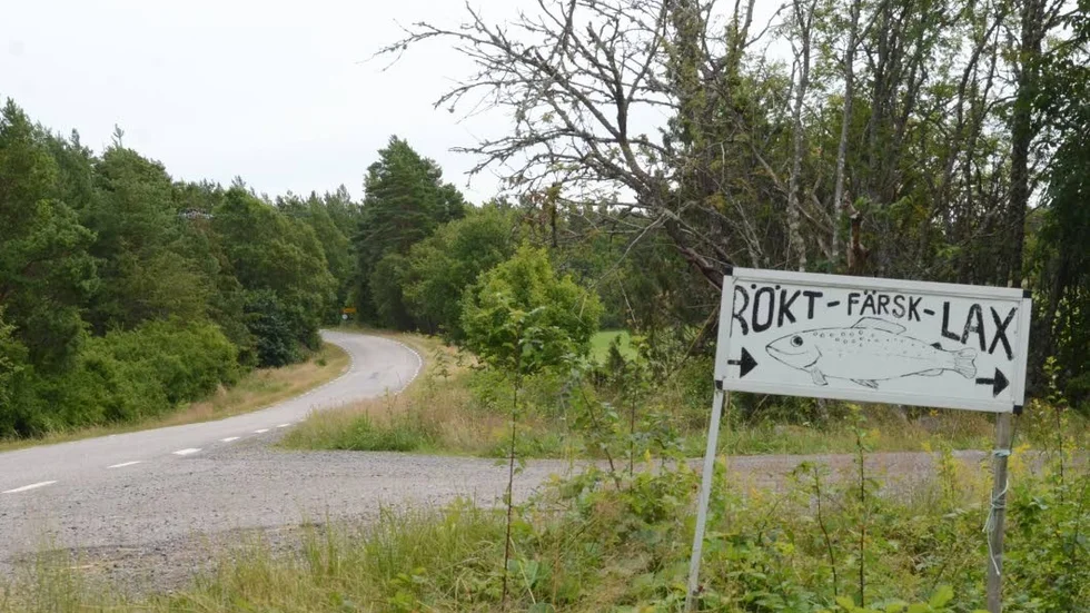 Väg 875 kan vara krokig med skymda kurvor och utfarter.