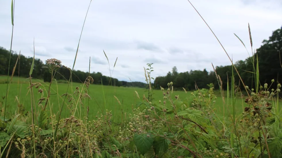 Ekologisk odling. I såväl län som kommun har andelen av odlingshektarer som används till ekologisk produktion ökat.