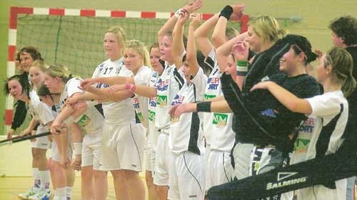 VIBK tackar de 170 åskådarna som såg laget vinna med 10-7 mot Westbo i kvalet till tvåan.