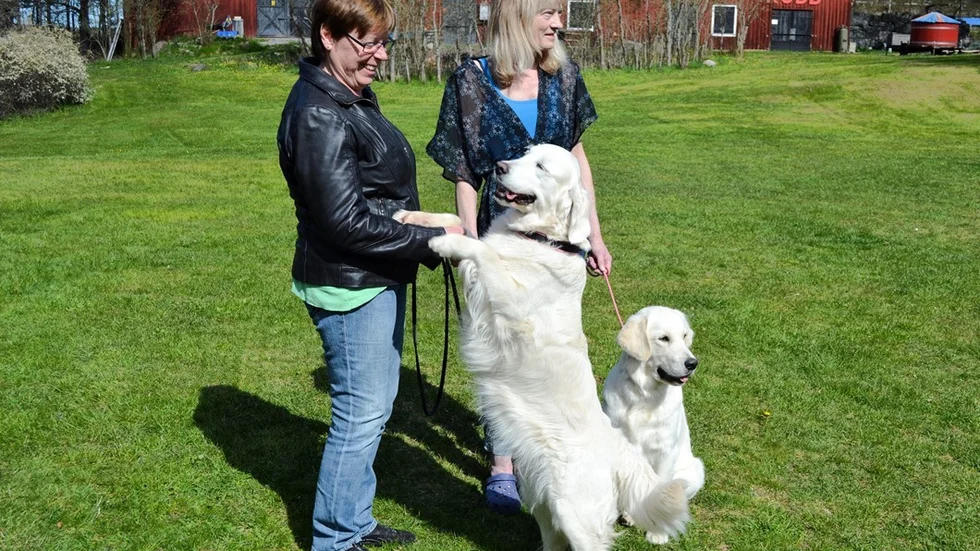 Eva Samuelsson och Carina Näsström med hundarna Ottilia och Andrea. Foto: Sven-Olof Nilsson