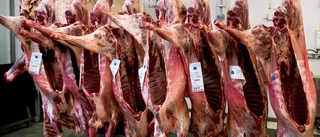Följer upp anmälningar mot djurhållare