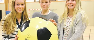 Hela vägen till Smålandslaget
