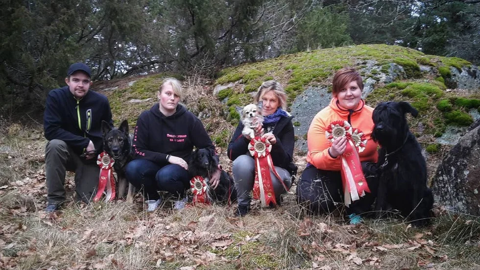 Framgångsrika. Från vänster: Dennis Bäckman och Luna, Frida Nilsson och Sussie, Gunilla Hesser och Elvira samt Lena Harmsund och Greta.