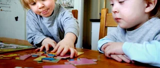 Vill ha fler dagmammor i kommunen