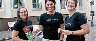 Eksjö förbereder sig för O-Ringen 2009