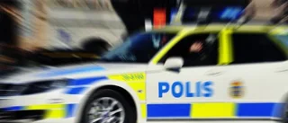 Två män i keps stal för 1 500 i butiken