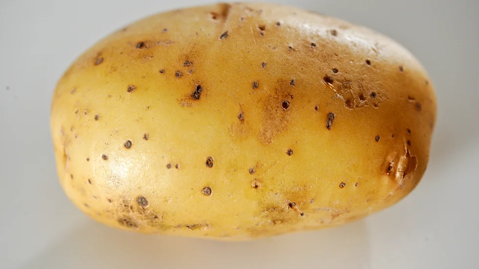 Het potatis.