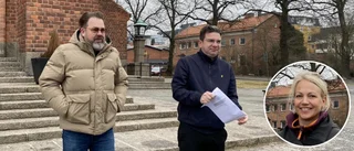 Lägger in veto – stoppar rekordhöga vindkraftverk