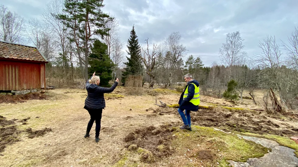 Planen är att vindkraftverksparken ska uppföras på andra sidan träden, drygt 1,5 kilometer från naturreservatet Hedlandet, något som oroar Fredrik Stråhle och Anna Wennberg.