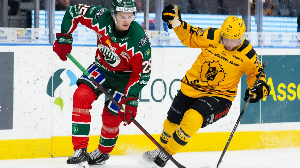 Pontus Johansson mot Skellefteå AIK i SM-slutspelet.
